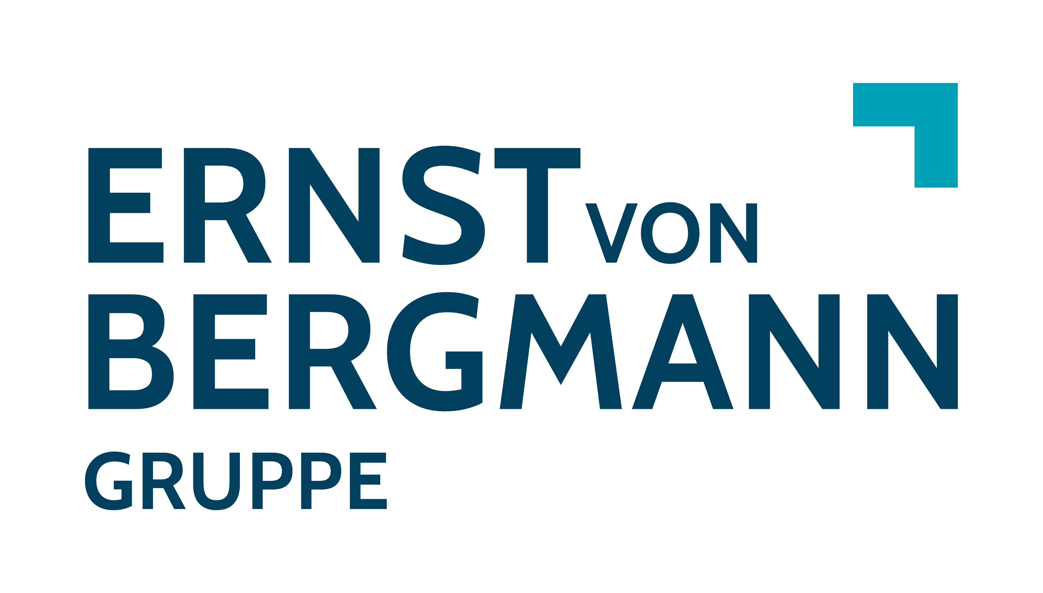 Ernst von Bergmann Gruppe